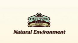 Field Guide 2030 – Natural Environment