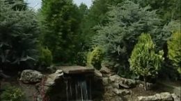 The Dwarf Conifer Garden