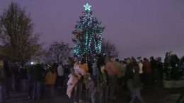 Festival of Lights – Mayor’s Tree Lighting Ceremony